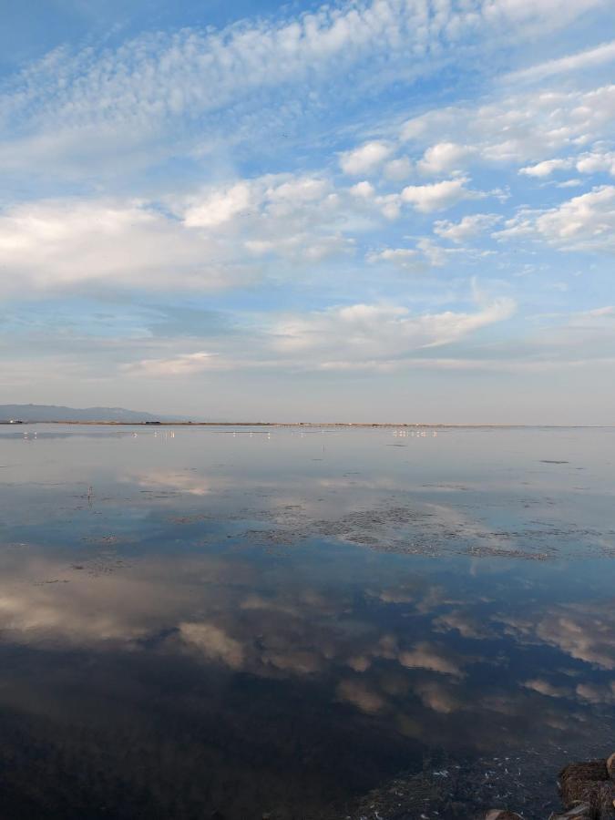 Encantador Apartamento En El Delta Del Ebro-Apartaments Iaio Kiko El Lligallo del Ganguil Eksteriør billede